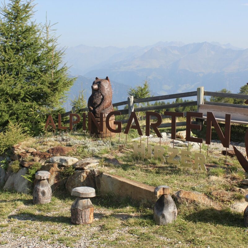 Alpingarten im Hirzergebiet mit Holzfiguren und Bergpanorama