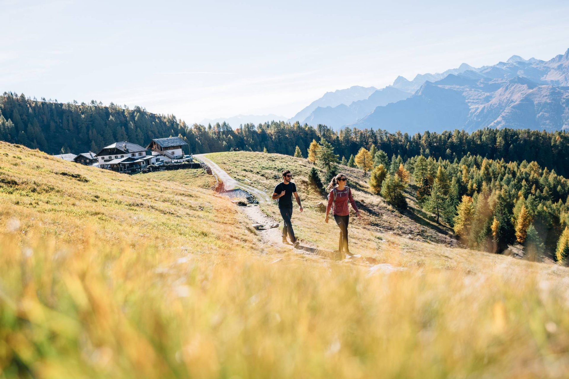 Wandernde auf einem Weg durch goldene Almwiesen