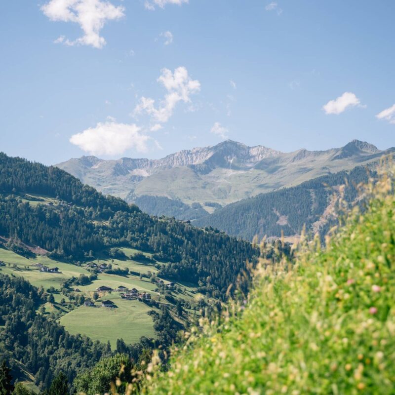 Blick über einen Wiesenhang auf Bergdörfer und Bergketten